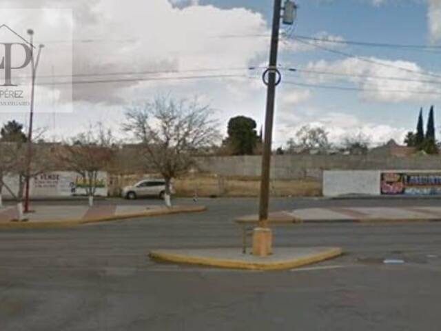 #91 - Terreno para Venta en Juárez - CH - 3